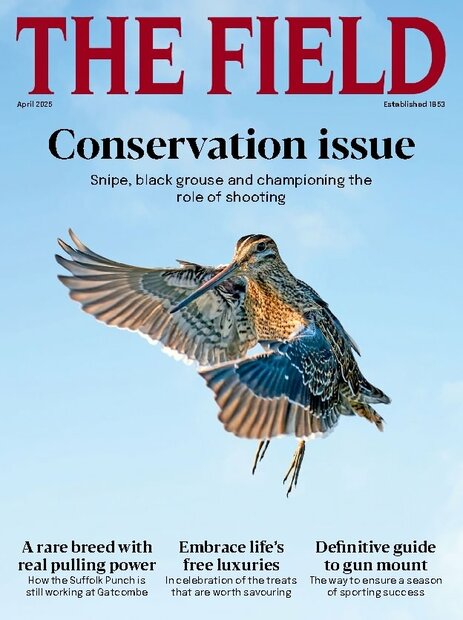 The Field Magazine