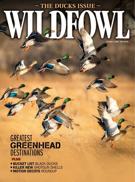 Wildfowl Magazine