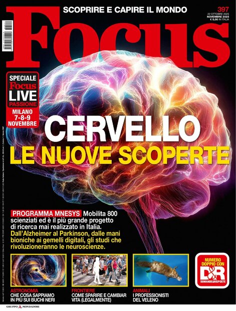 Focus Italia