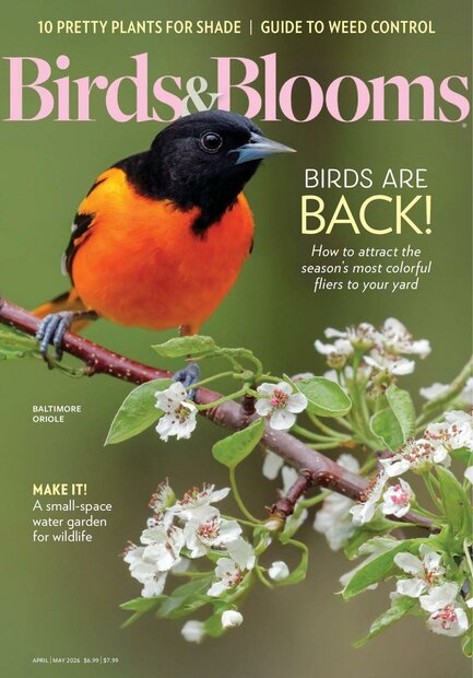 Birds &amp; Blooms Magazine