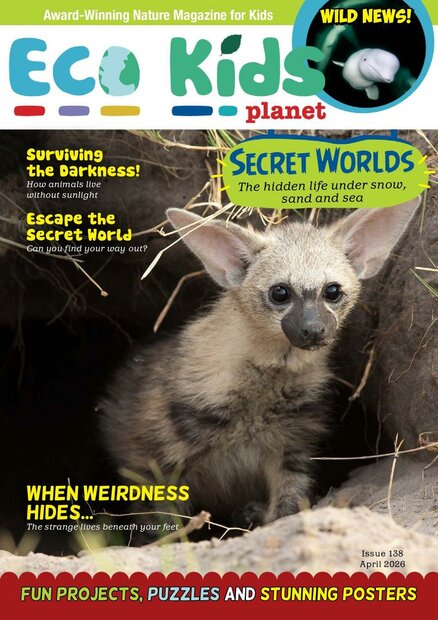 Eco Kids Planet Magazine