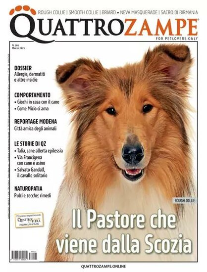 Quattro Zampe