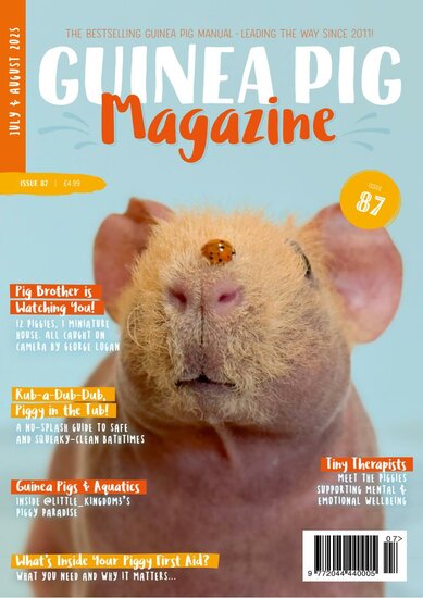 Guinea Pig