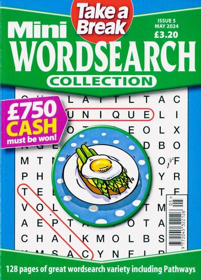 Take a Break Mini Wordsearch Collection Magazine