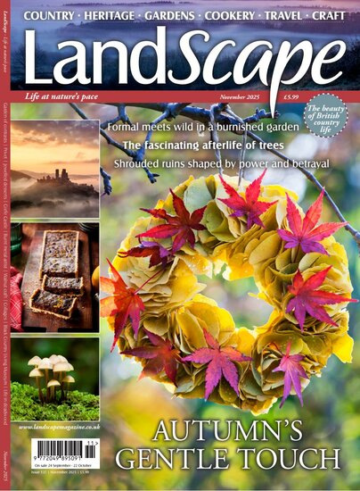 LandScape Magazine