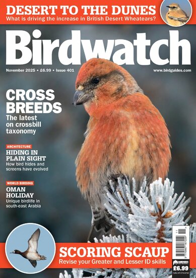 Birdwatch Magazine
