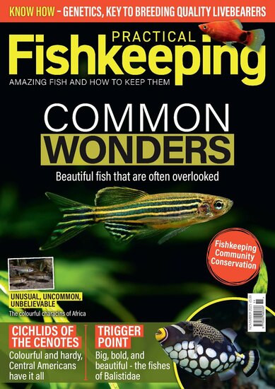 Practical Fishkeeping Magazine
