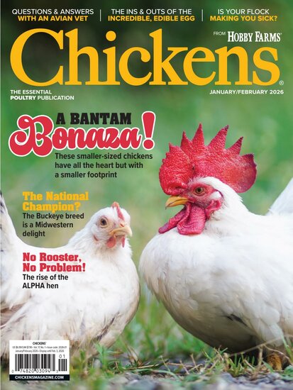 Chickens Magazine