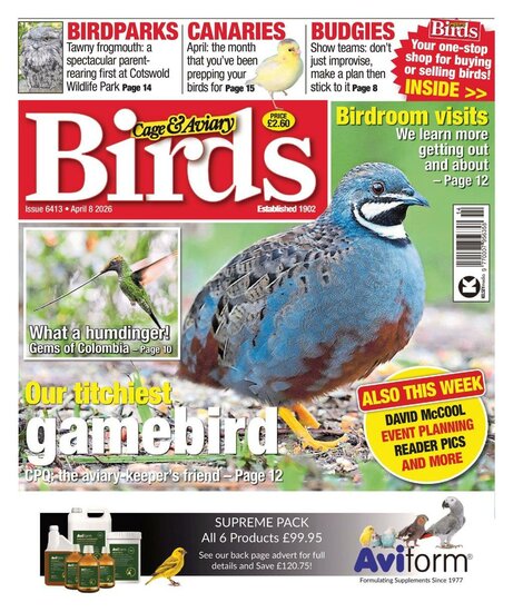 Cage &amp; Aviary Birds Magazine