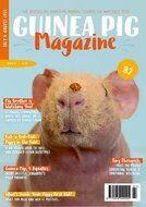 Guinea Pig