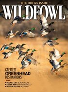 Wildfowl Magazine
