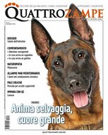 Quarter Horse Journal (Duits)