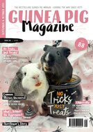 Guinea Pig