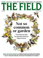 The Field Magazine