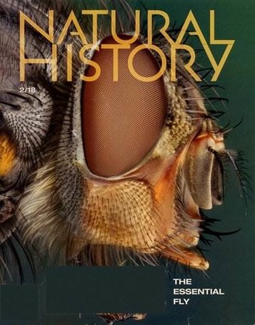 Natural History Magazine