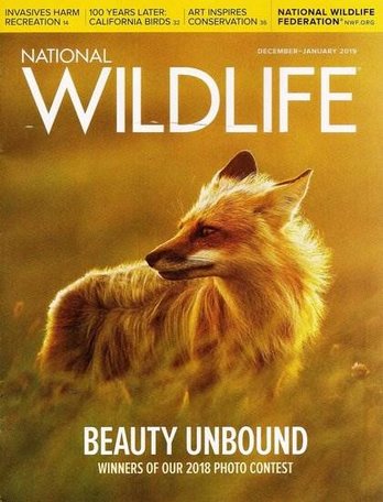 National Wildlife Magazine