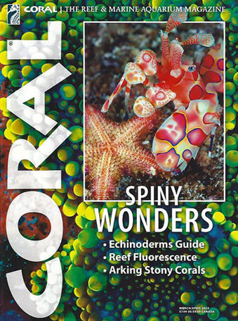 Coral Magazine