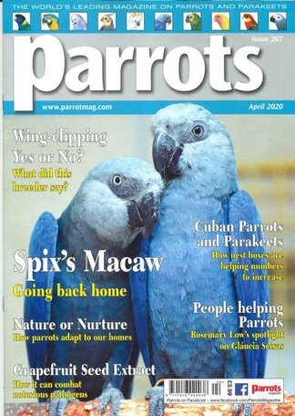 Parrots Magazine