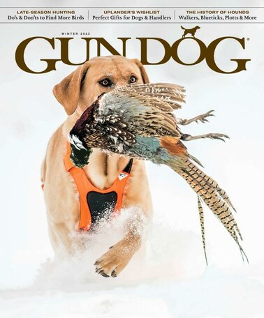 Gun Dog Magazine