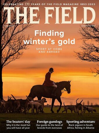 The Field Magazine