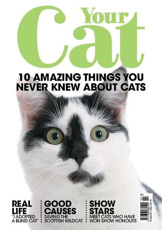 Your Cat Magazine