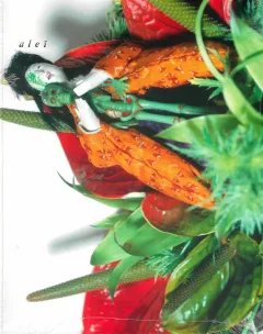 Alei Journal (Francese)