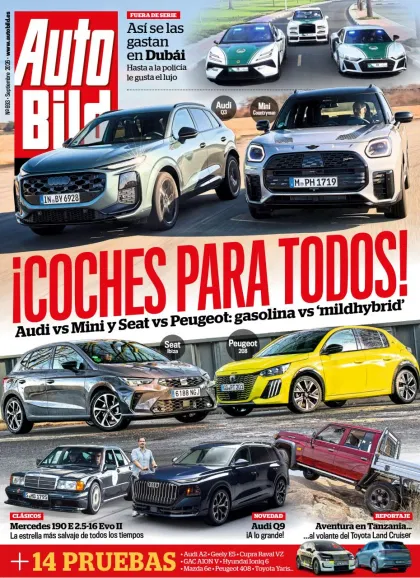 Auto Bild (Tedesco)