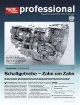 Auto Motor und Sport Professional (Tedesco) 1