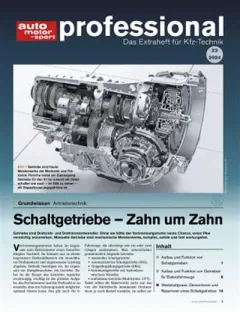 Auto Motor und Sport Professional (Tedesco)