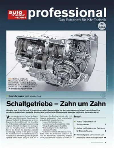 Auto Motor und Sport Professional (Tedesco)