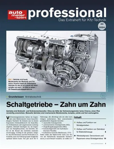 Auto Motor und Sport Professional (Tedesco)