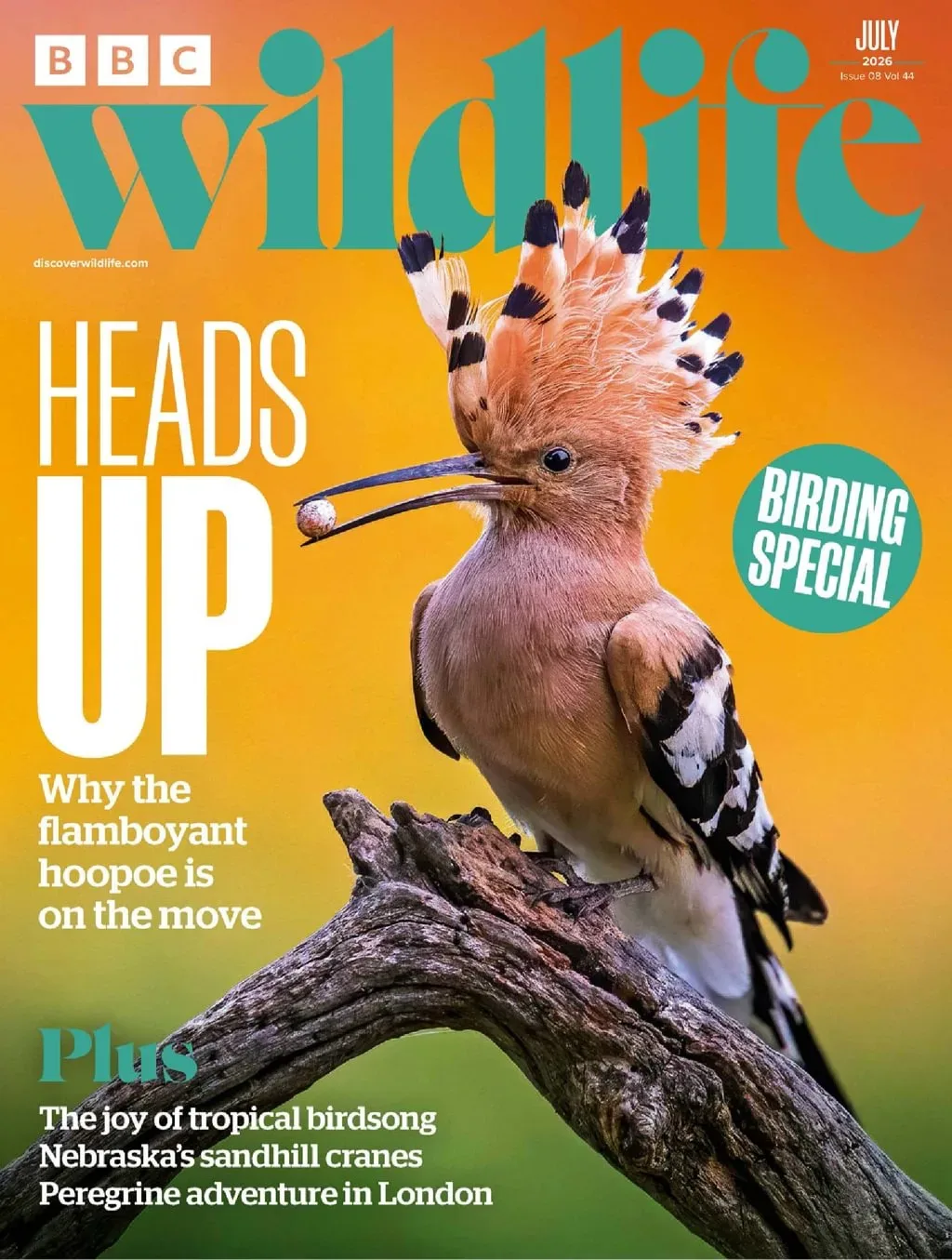 BBC Wildlife Magazine 1