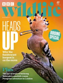 BBC Wildlife Magazine