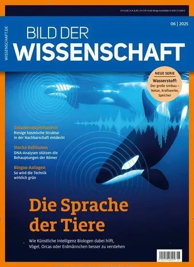 Bild der Wissenschaft (Tedesco)
