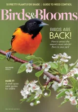 Birds & Blooms Magazine 1