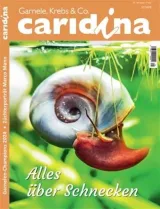 Caridina (Tedesco) 1