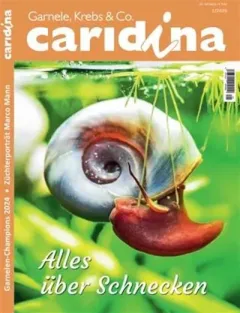 Caridina (Tedesco)