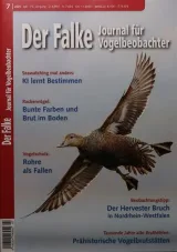 Falke (Tedesco) 1
