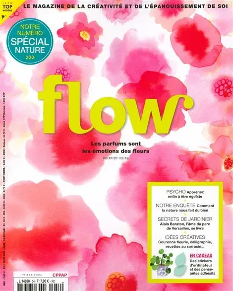Flow (Francese)
