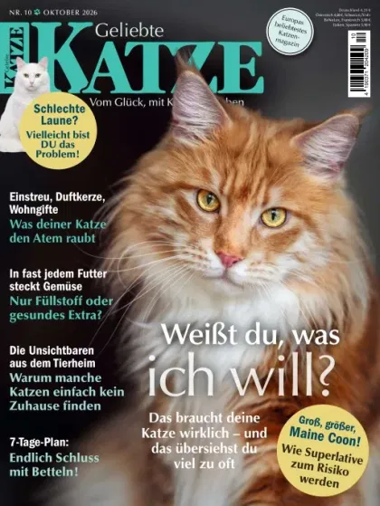 Geliebte Katze (Tedesco)