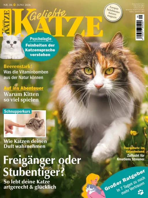 Geliebte Katze (Tedesco)