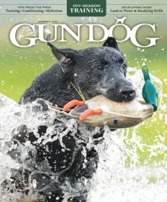 Gun Dog Magazine