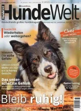 Hundewelt (Tedesco) 1
