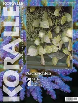 Koralle (Tedesco) 1