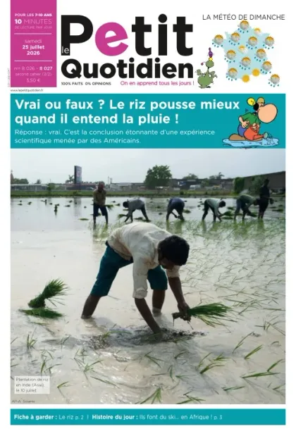 Le Petit Quotidien (Francese)