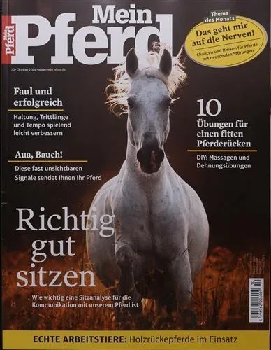 Mein Pferd (Tedesco)