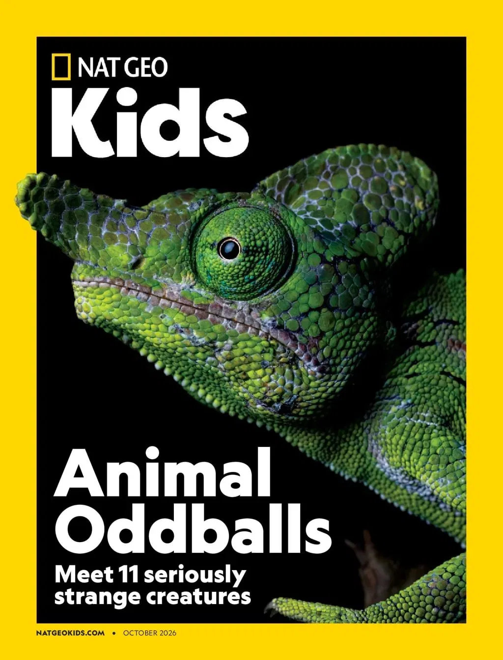 National Geographic Kids Magazine