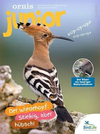 Ornis Junior (Tedesco)