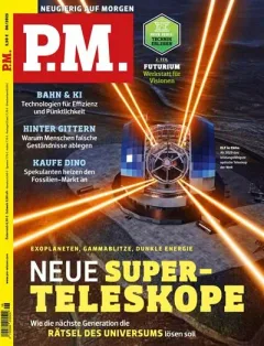 P.M. (Tedesco)