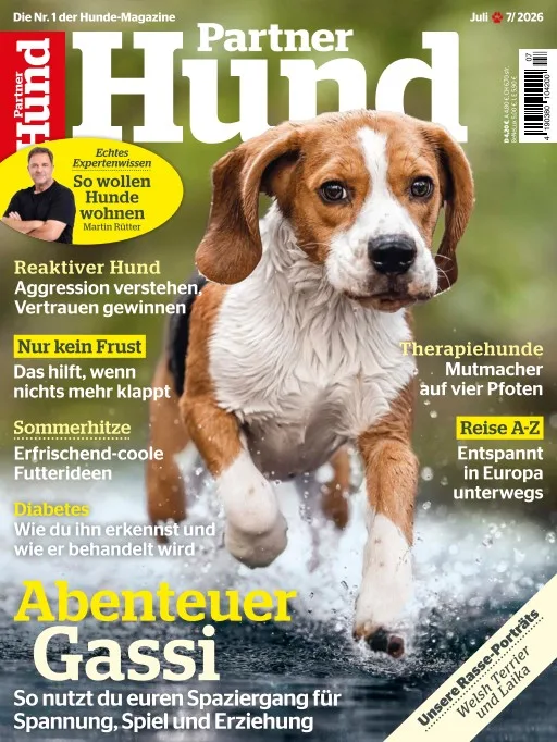 Partner Hund (Tedesco)